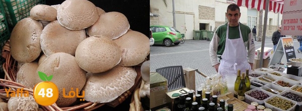 sookelmina2u5 (20).jpg